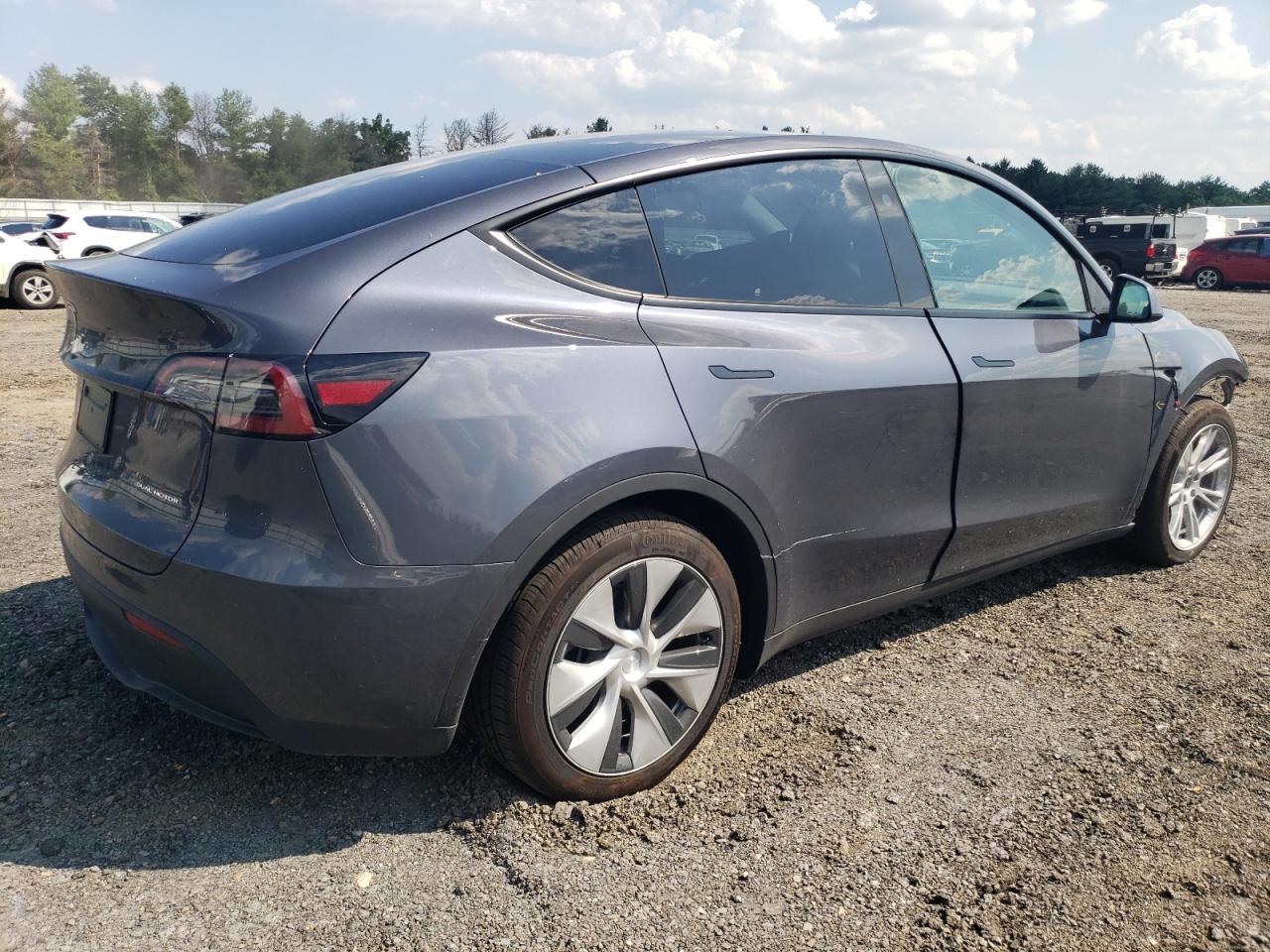 2023 TESLA MODEL Y  VIN:7SAYGDEEXPF825343