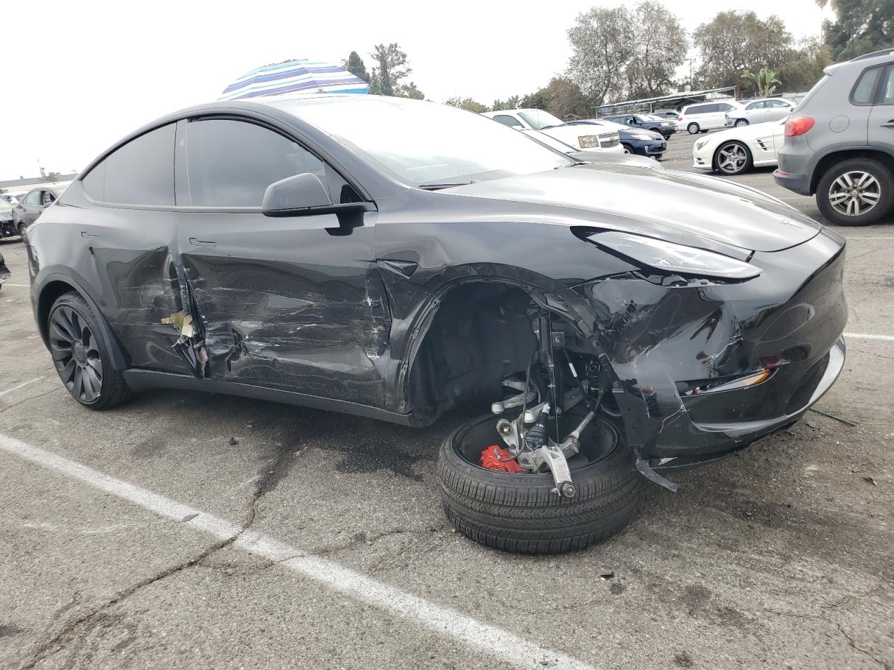 2024 TESLA MODEL Y  VIN:7SAYGDEF0RF057092