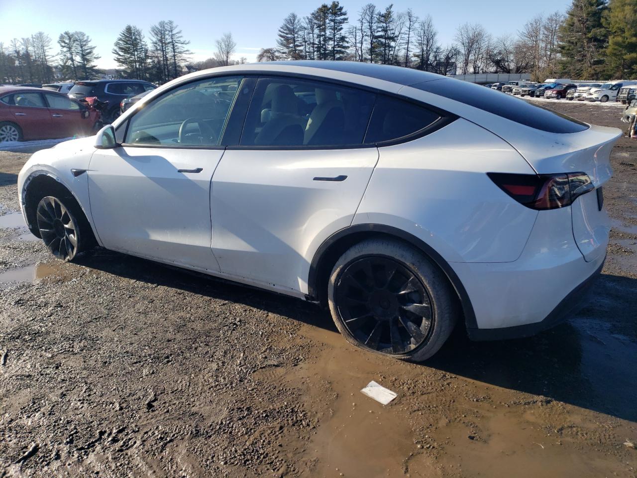 2023 TESLA MODEL Y  VIN:7SAYGDEE7PA105995