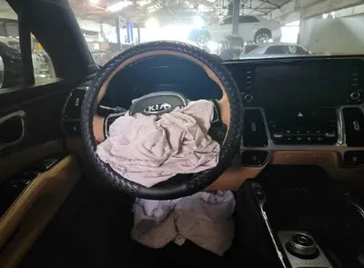 2021 Kia Sorento KNARG81BGMA022731 VIN:KNARG81BGMA022731