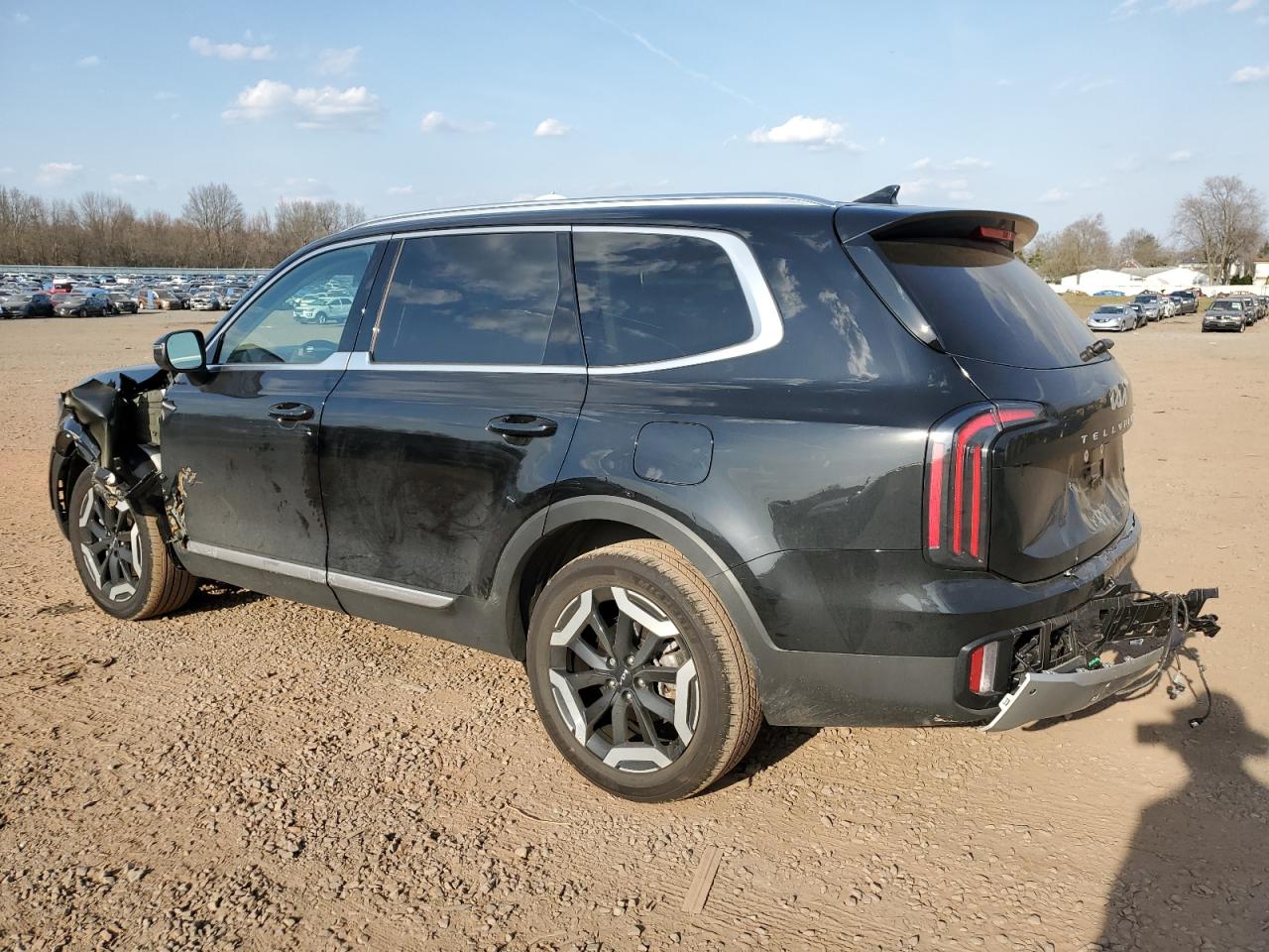 2024 KIA TELLURIDE EX VIN:5XYP3DGC2RG426177