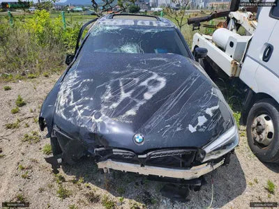 2019 BMW 520 WBAJF3109LCD41063 VIN:WBAJF3109LCD41063