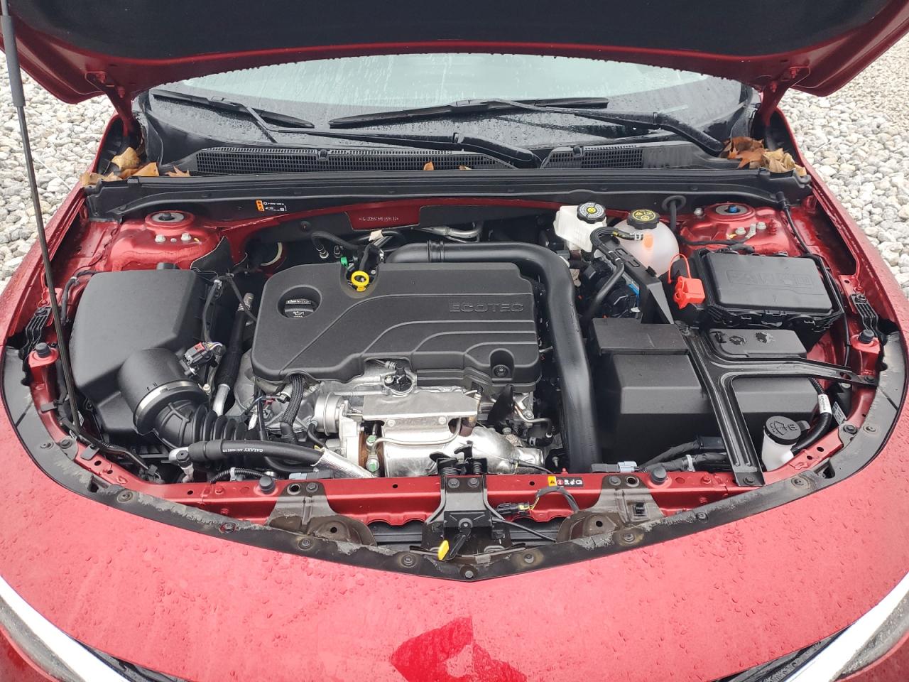 2024 CHEVROLET MALIBU LT VIN:1G1ZD5ST5RF159132