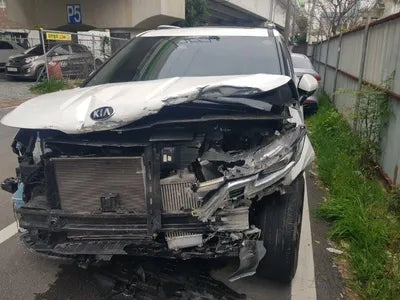 2020 Kia Carnival KNANE81BBMS026532 VIN:KNANE81BBMS026532