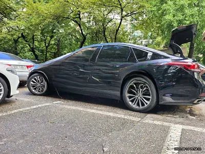 2016 acupuncture nessis 3.3 NONE VIN: