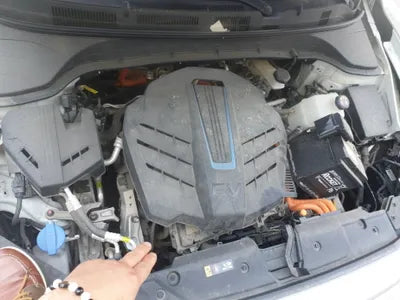 2020 Hyundai Kona KMHK381GFLU100372 VIN:KMHK381GFLU100372