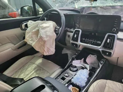 2020 Kia Sorento KNARG81GBMA017175 VIN:KNARG81GBMA017175
