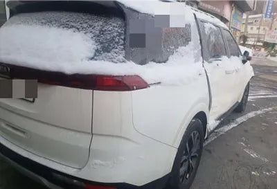 2020 Kia Carnival VIN: