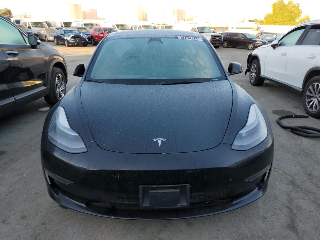 2023 TESLA MODEL 3  VIN:5YJ3E1EA8PF459519