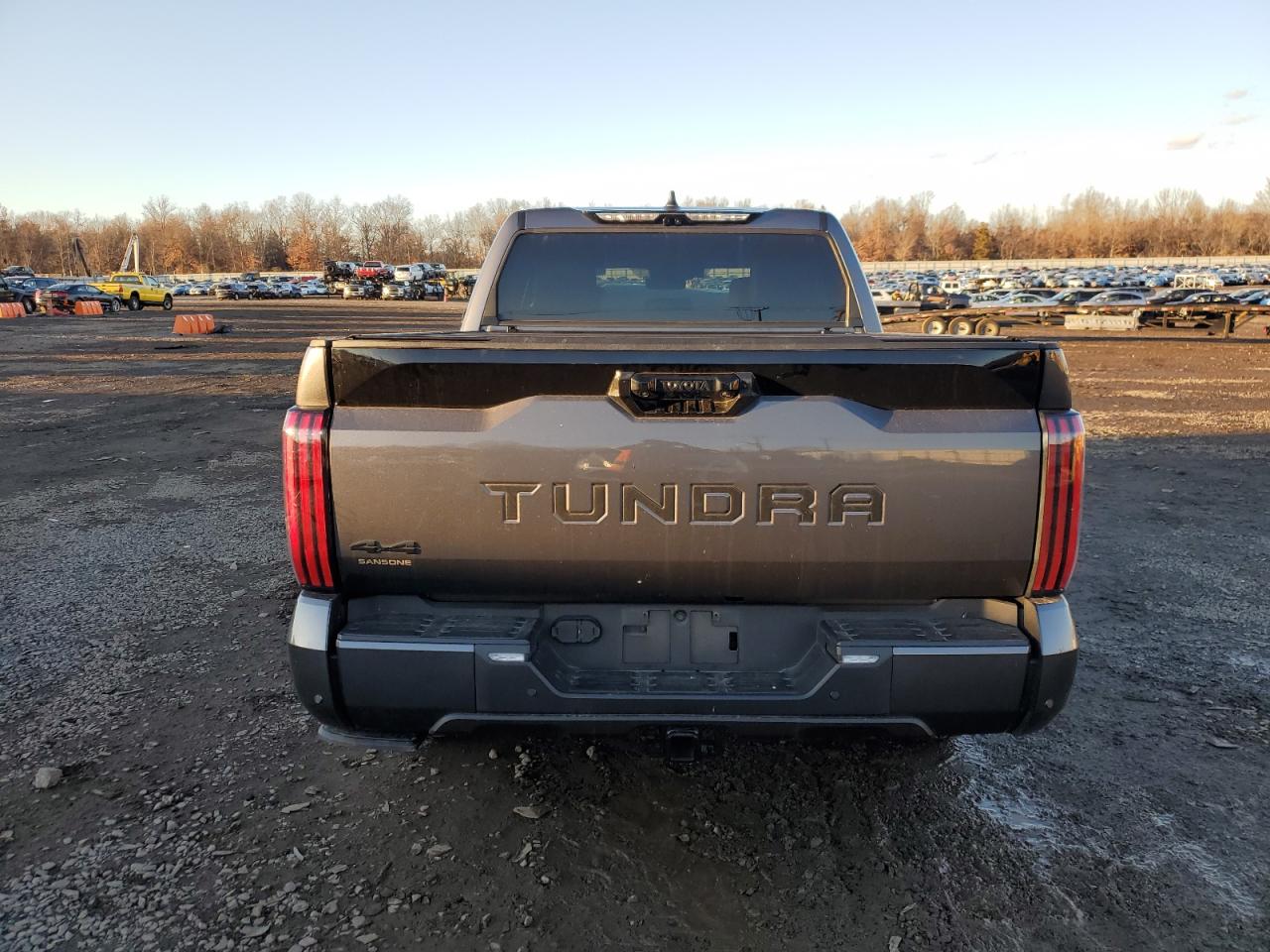 2024 TOYOTA TUNDRA CREWMAX PLATINUM VIN:5TFNC5DB5RX067977
