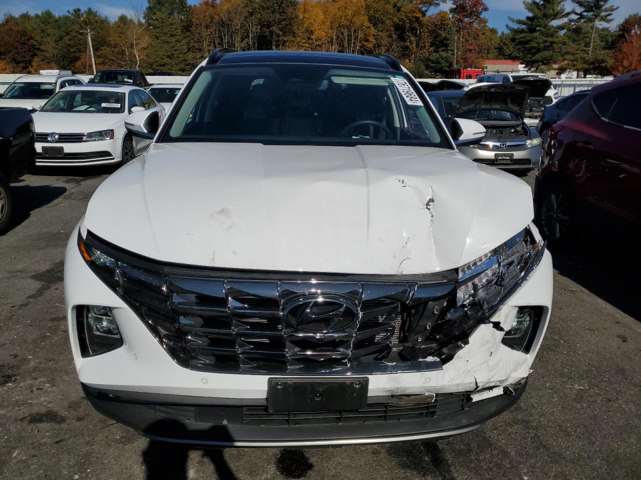 2023 HYUNDAI TUCSON LIMITED VIN:5NMJECAE8PH189928