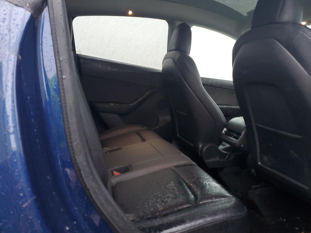 2022 TESLA MODEL Y  VIN:7SAYGDEE9NF356601