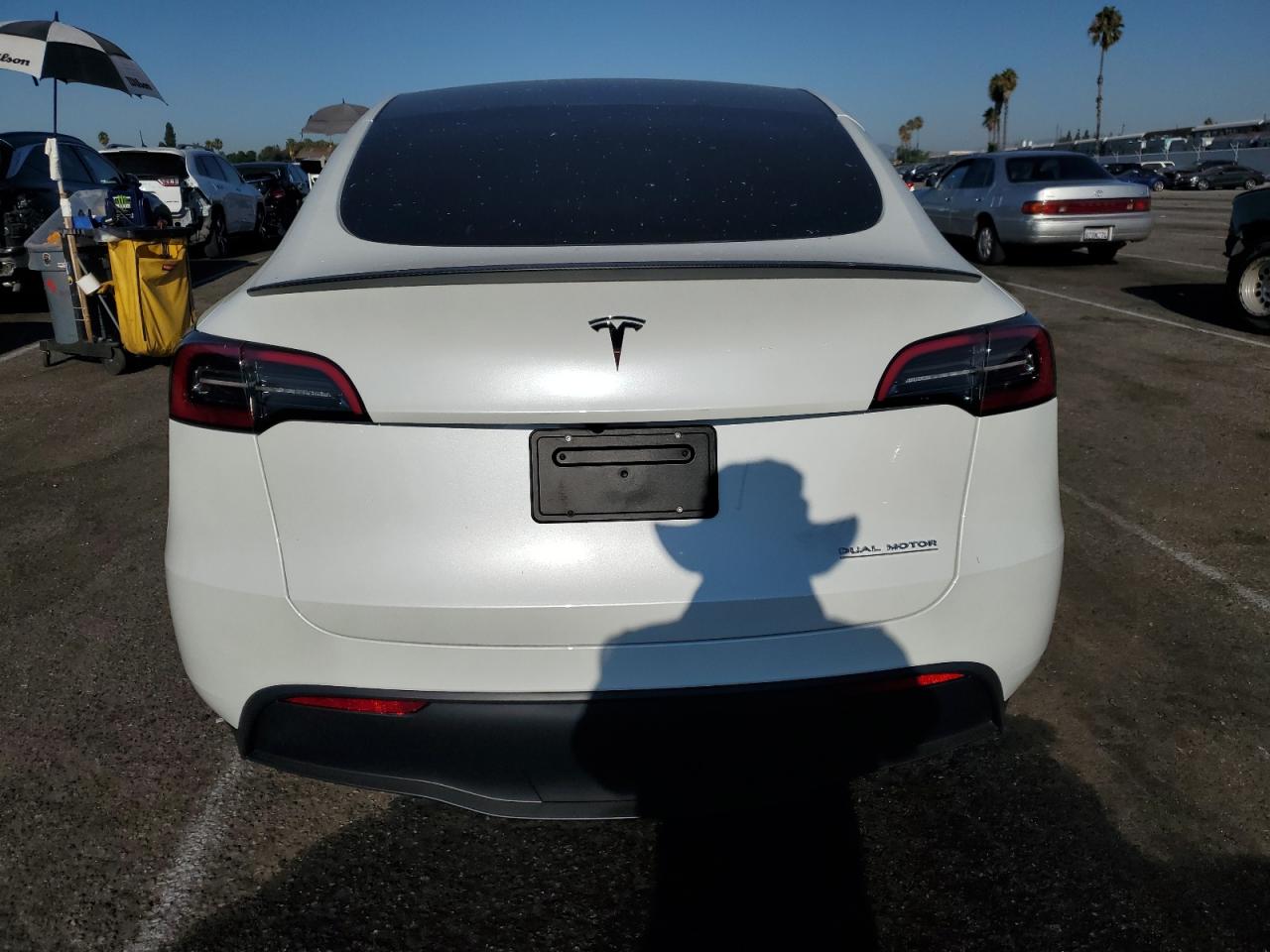 2024 TESLA MODEL Y  VIN:7SAYGDEF6RF133012