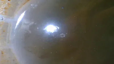 2020 Mercedes-Benz S 560 W1KUG8GB3LA529689 VIN:W1KUG8GB3LA529689