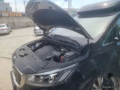2020 Kia Carnival KNAME811BLS617207 VIN:KNAME811BLS617207