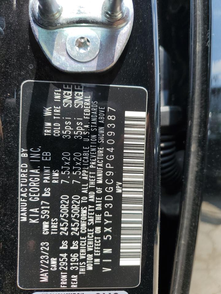 2023 KIA TELLURIDE EX VIN:5XYP3DGC9PG409387