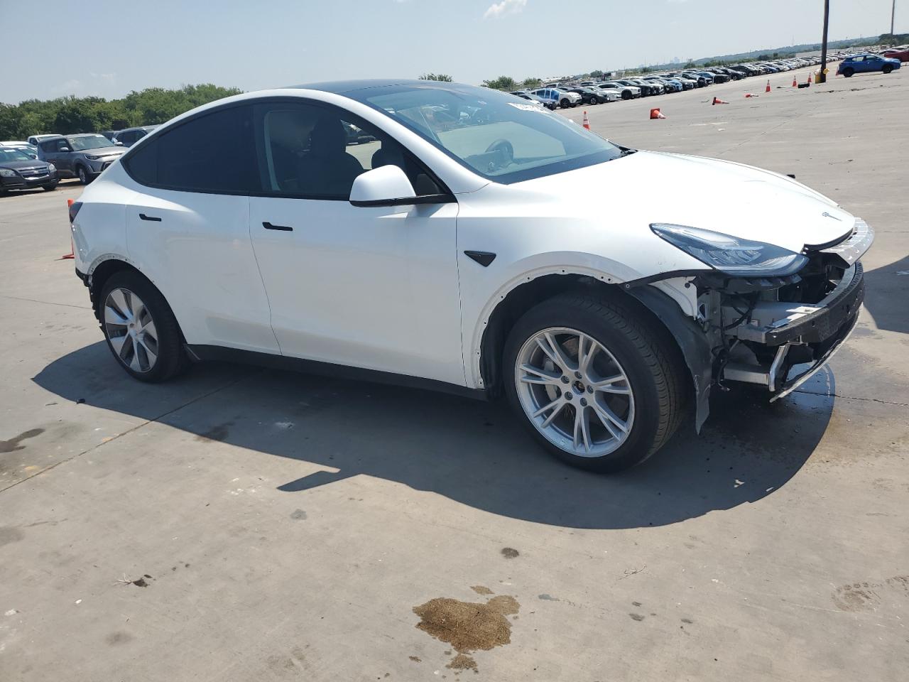 2023 TESLA MODEL Y  VIN:7SAYGDEE2PA059556