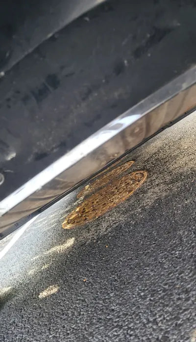 2021 Volvo XC40 YV1XZK92CM2460505 VIN:YV1XZK92CM2460505