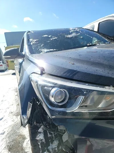 2016 Hyundai Santa FE KMHSW81XBGU540496 VIN:KMHSW81XBGU540496