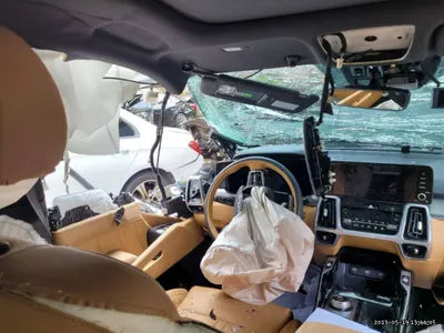 2022 Kia Sorento KNARH81GBNA065024 VIN:KNARH81GBNA065024