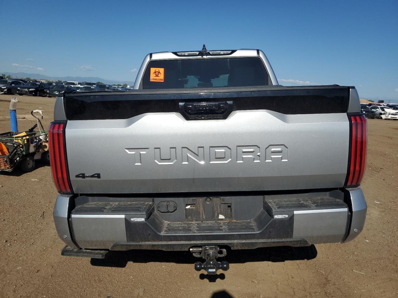 2024 TOYOTA TUNDRA CREWMAX PLATINUM VIN:5TFNC5DB6RX040335