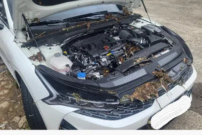 2023 Kia K5 KNAG3412BPA225562 VIN:KNAG3412BPA225562