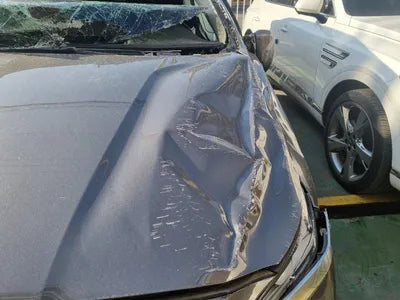 2020 Hyundai Santa FE 015KMKMHS381ABLU2 VIN:015KMKMHS381ABLU2