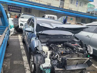 2018 Hyundai Kona KMHK3816GJU004099 VIN:KMHK3816GJU004099