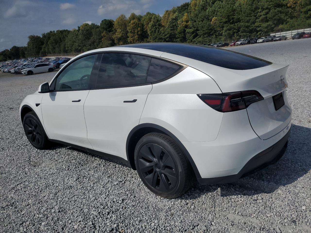 2024 TESLA MODEL Y  VIN:7SAYGDED1RA301120