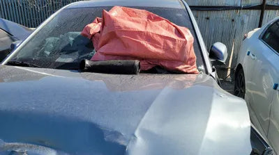 2020 Hyundai Kona KMHK4815HLU574899 VIN:KMHK4815HLU574899