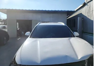 2021 Hyundai Santa FE KMHS381HGMU310393 VIN:KMHS381HGMU310393