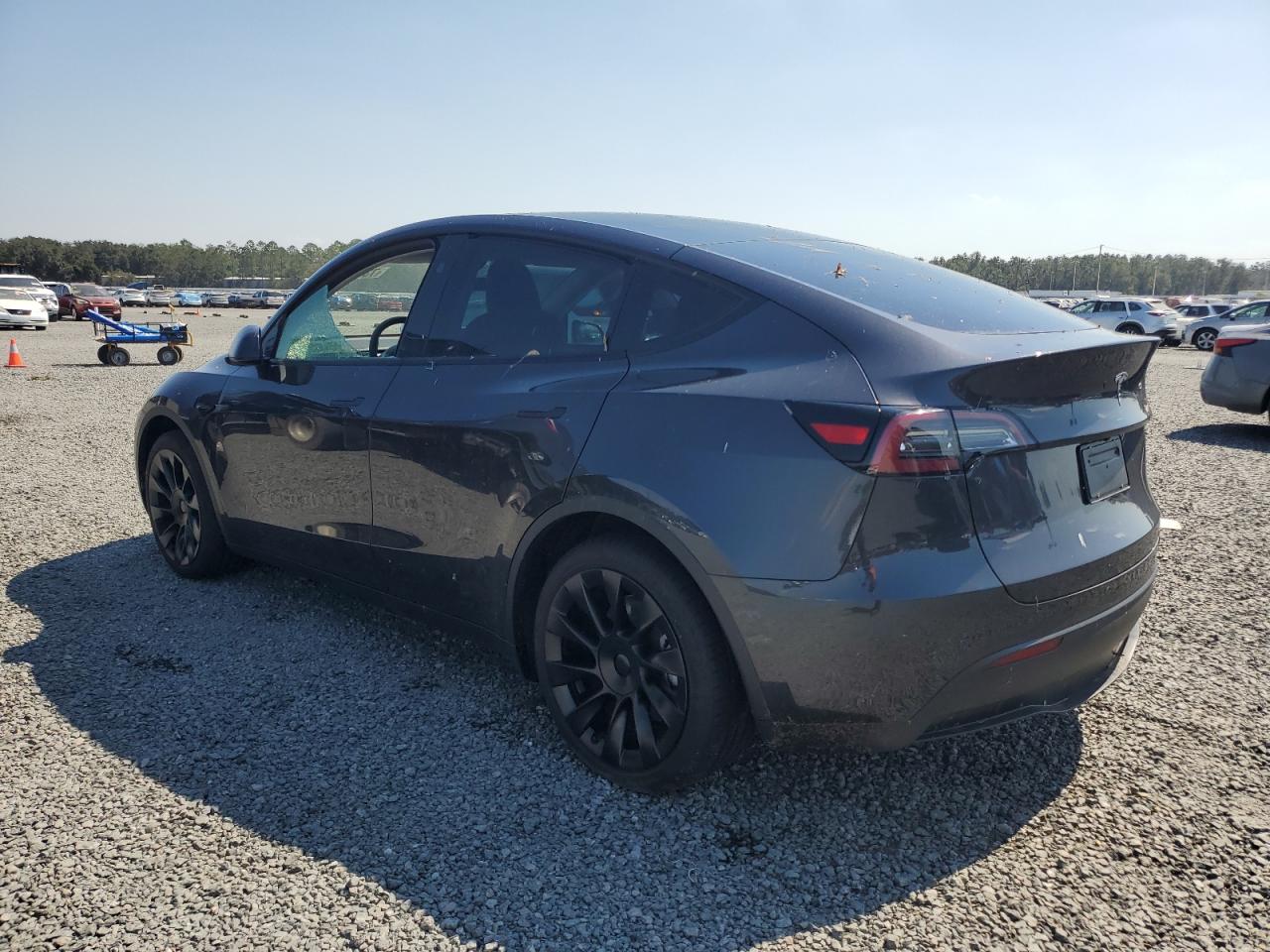 2024 TESLA MODEL Y  VIN:7SAYGDED8RF091697