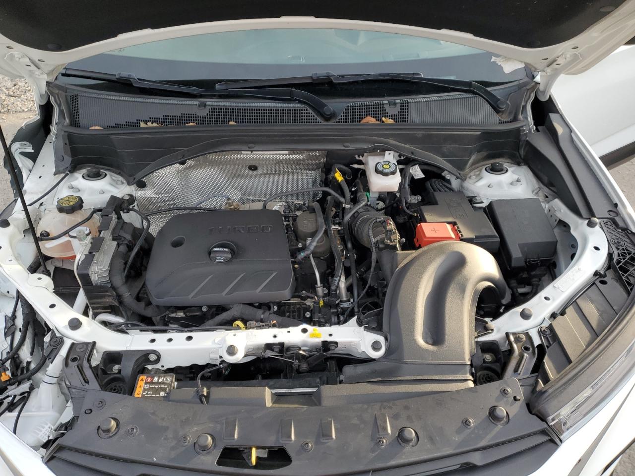 2023 CHEVROLET TRAILBLAZER LT VIN:KL79MPSL4PB005550