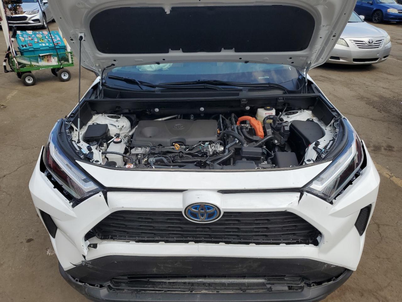 2024 TOYOTA RAV4 XLE VIN:2T3RWRFV1RW213223