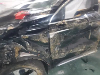 2020 Kia Sorento KNARJ81BHMA019578 VIN:KNARJ81BHMA019578