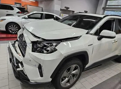 2019 Toyota RAV4 VIN: