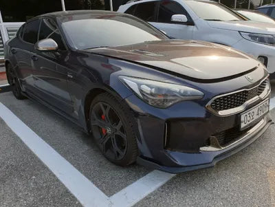 2019 Kia Stinger KNAE351ADKS045666 VIN:KNAE351ADKS045666