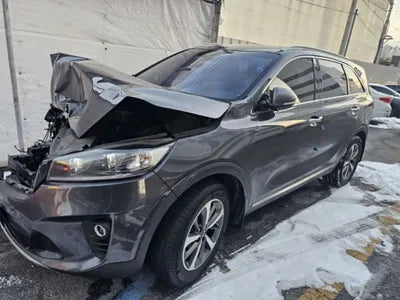 2019 Kia Sorento KNAPG81ABKA518989 VIN:KNAPG81ABKA518989