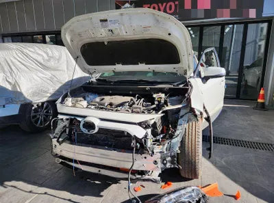 2019 Toyota RAV4 VIN: