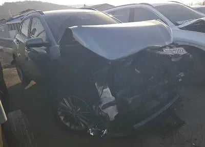 2020 Hyundai Kona KMHK2817GLU509082 VIN:KMHK2817GLU509082