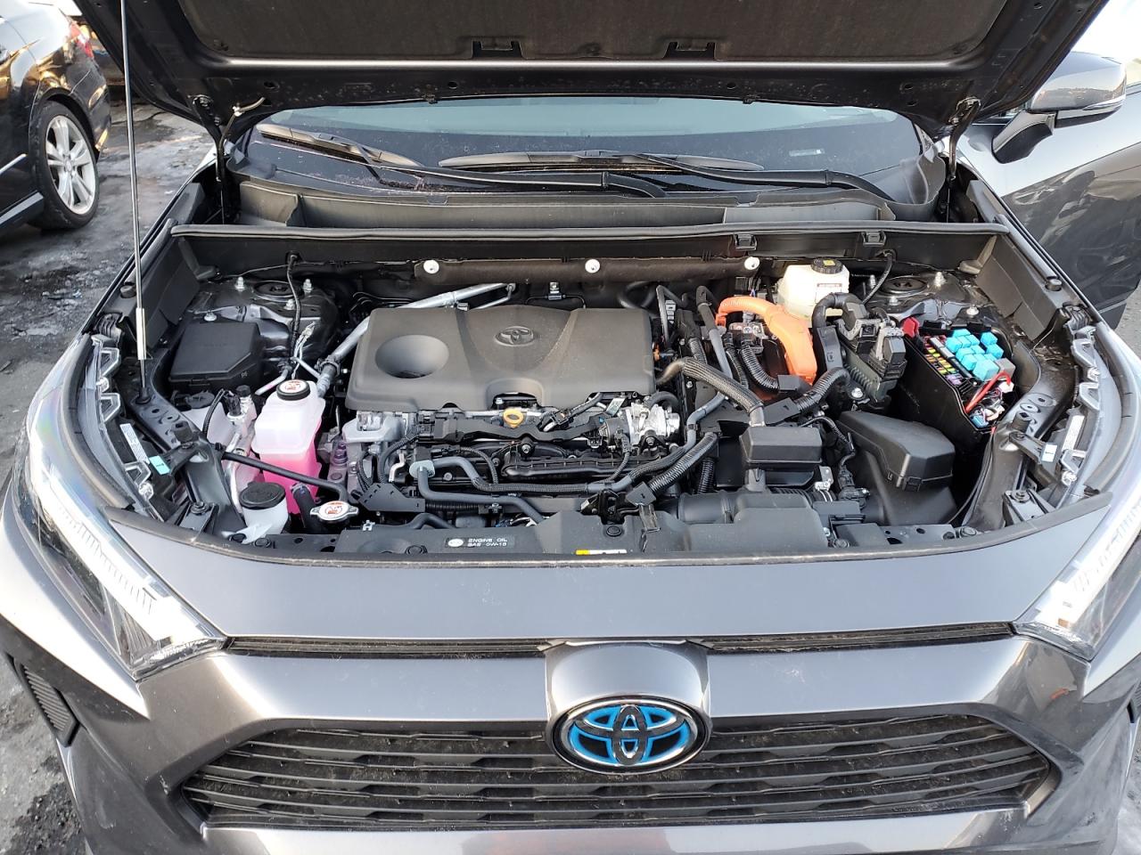 2024 TOYOTA RAV4 XLE VIN:4T3RWRFV2RU155588