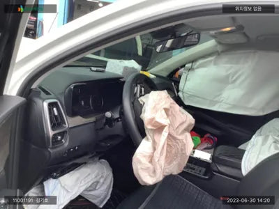 2021 Kia Sorento KNARF81BGMA104673 VIN:KNARF81BGMA104673