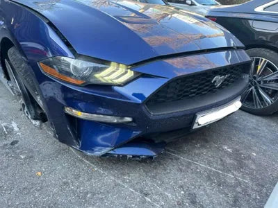 2019 Ford Mustang 442KM1FA6P8TH4K51 VIN:442KM1FA6P8TH4K51
