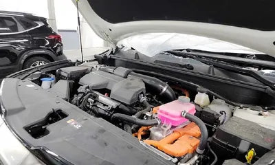 2022 Kia Sportage KNAPX81GBNK002052 VIN:KNAPX81GBNK002052