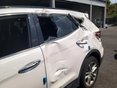 2017 Hyundai Santa FE KMHSW81UBHU732098 VIN:KMHSW81UBHU732098