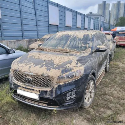 2017 Kia Sorento 386KMKNAPH81ABHA3 VIN:386KMKNAPH81ABHA3