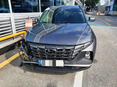 2021 Hyundai Tucson KMHJC81BGMU009847 VIN:KMHJC81BGMU009847