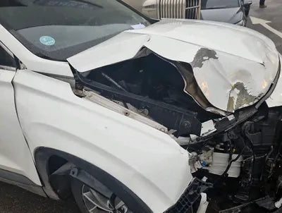 2019 Hyundai Santa FE KMHS281BDKU007298 VIN:KMHS281BDKU007298