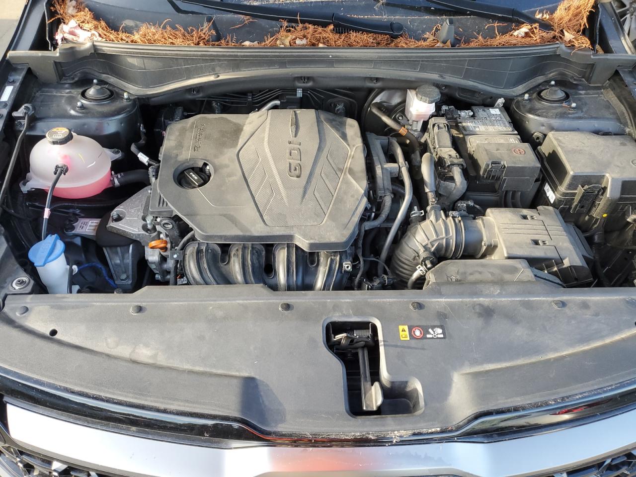 2023 KIA SPORTAGE X LINE VIN:5XYK6CAF4PG006707