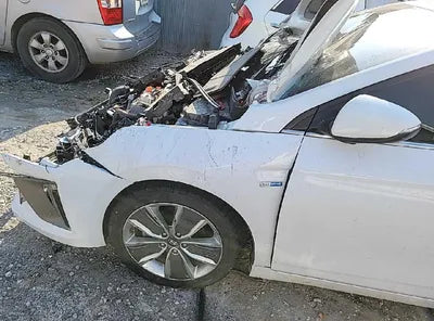 2019 Hyundai Ioniq KMHC851CGKU117393 VIN:KMHC851CGKU117393